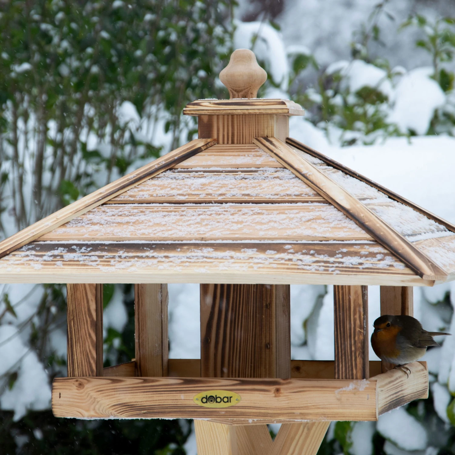 Kiefer-Vogelhaus 'Heat', Geflammt, 49 X 49 X 39 Cm 1 Kiefer-Vogelhaus 'Heat', Geflammt, 49 X 49 X 39 Cm