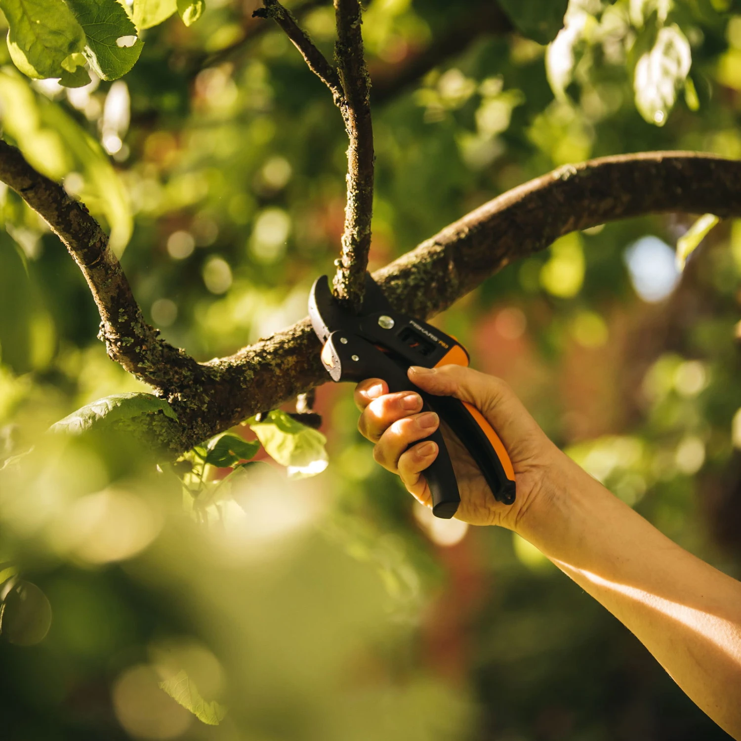 Fiskars Gartenschere 'Amboss' 3 Fiskars Gartenschere 'Amboss' – Bild 3