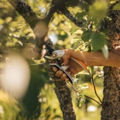 Fiskars Schere 'Plus PowerLever', Schwarz/orange 5 Fiskars Schere 'Plus PowerLever', Schwarz/orange -Günstiges Gartenambiente Geschäft 0920300707 Plus PowerLever Metall Bypass Gartenschere 3 106801