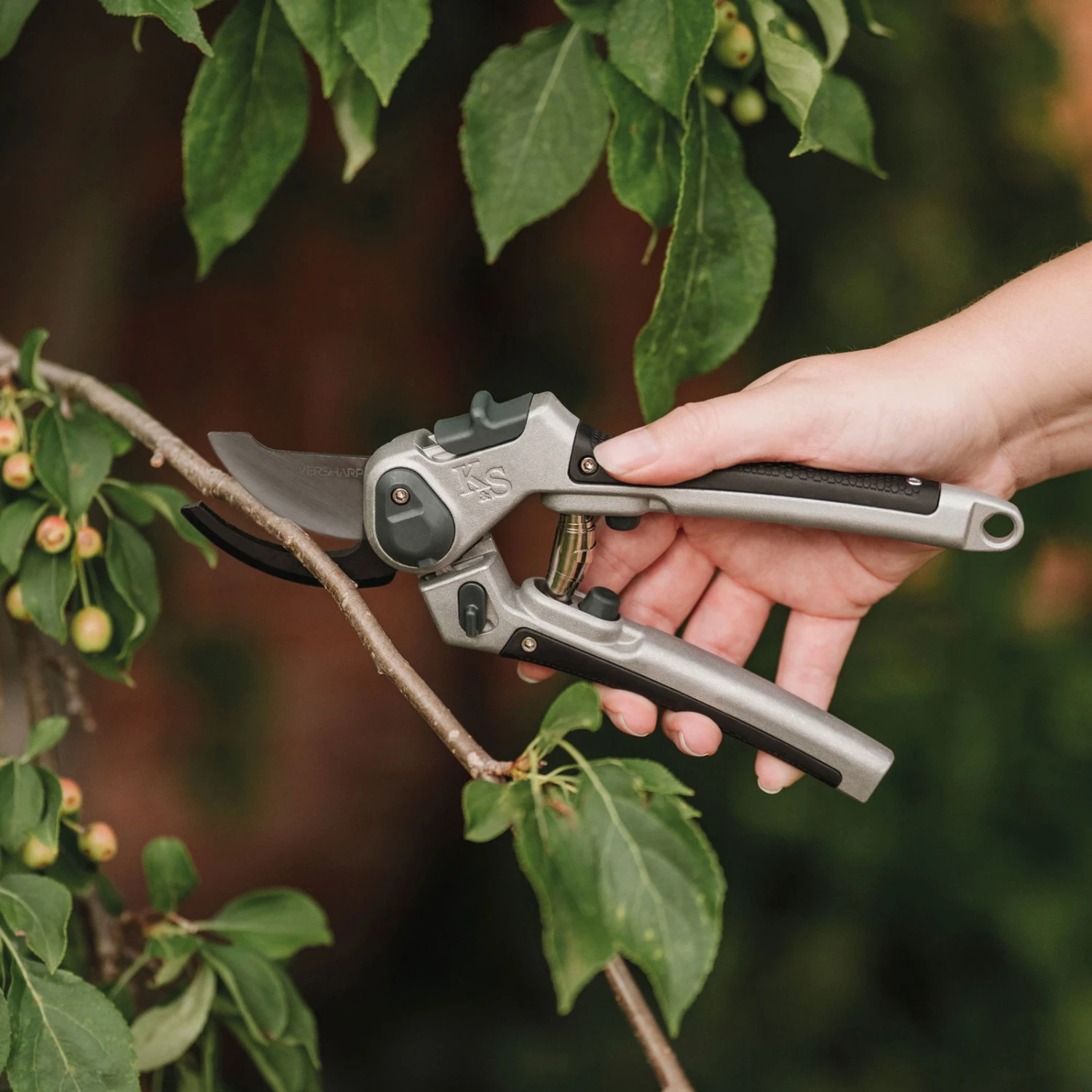 Gartenschere 'Eversharp Bypass', Carbonstahl 1 Gartenschere 'Eversharp Bypass', Carbonstahl