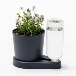 Kräuterheld, Anthrazit, PP/PET, 14 X 14 X 22 Cm -Günstiges Gartenambiente Geschäft 0930101631 Kraeuterheld anthrazit1 116321