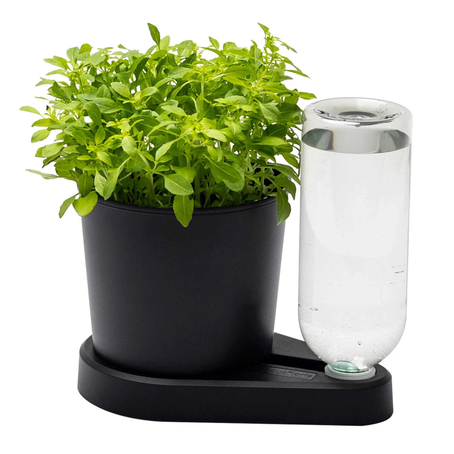 Kräuterheld, Schwarz, PP/PET, 14 X 14 X 22 Cm 1 Kräuterheld, Schwarz, PP/PET, 14 X 14 X 22 Cm