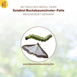 Solabiol Buchsbaumzünsler-Falle, Ausreichend Für Bis Zu 180 M² -Günstiges Gartenambiente Geschäft 0950200723 Buchsbaumzuensler Falle fuer bis zu 180qm Flaeche 1 107232