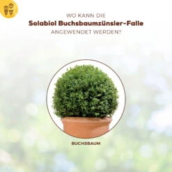 Solabiol Buchsbaumzünsler-Falle, Ausreichend Für Bis Zu 180 M² -Günstiges Gartenambiente Geschäft 0950200723 Buchsbaumzuensler Falle fuer bis zu 180qm Flaeche 4 107233