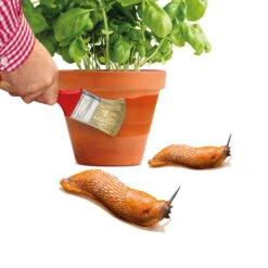 Schnexagon, Anstrich Gegen Schnecken, 375 Ml -Günstiges Gartenambiente Geschäft 0950300991 Schnexagon 375ml 1 94152