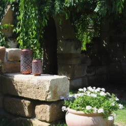 Kölle LED-Solarlaterne Adana, Gold Matt, Höhe 26 Cm, Ø 16 Cm 5 Kölle LED-Solarlaterne Adana, Gold Matt, Höhe 26 Cm, Ø 16 Cm -Günstiges Gartenambiente Geschäft 2950100472 2950100469 Adana 1 113714