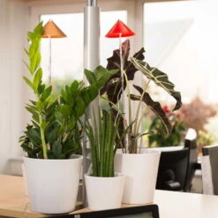 Sunlite Pflanzenlampe Kupfer, 7 Watt -Günstiges Gartenambiente Geschäft 2950200231 Sunlite Pflanzenlampe Kupfer 7W 1 60399