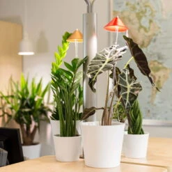 Sunlite Pflanzenlampe Kupfer, 7 Watt -Günstiges Gartenambiente Geschäft 2950200231 Sunlite Pflanzenlampe Kupfer 7W 4 60396