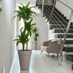 Pflanzkübel Liken Taupe