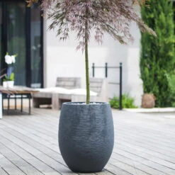 Pflanzgefäß Graphit Egg, Anthrazit, Wasserdicht, Robust -Günstiges Gartenambiente Geschäft 3210103698 Pflanzgefaess Graphit Egg anthrazit D50xH60cm 53Ltr 1 62076