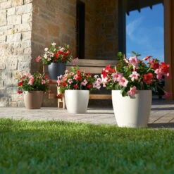 LECHUZA Pflanzgefäß 'Classico Color 70', Grau, Ø 70 X H 64,5 Cm 5 LECHUZA Pflanzgefäß 'Classico Color 70', Grau, Ø 70 X H 64,5 Cm -Günstiges Gartenambiente Geschäft 3210103919 Pflanzgefaess Classico Color 60 All in 1 schiefergrau 3 109198