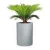 Pflanzgefäß 'Riva High', Rund, Steingrau, Kunststoff