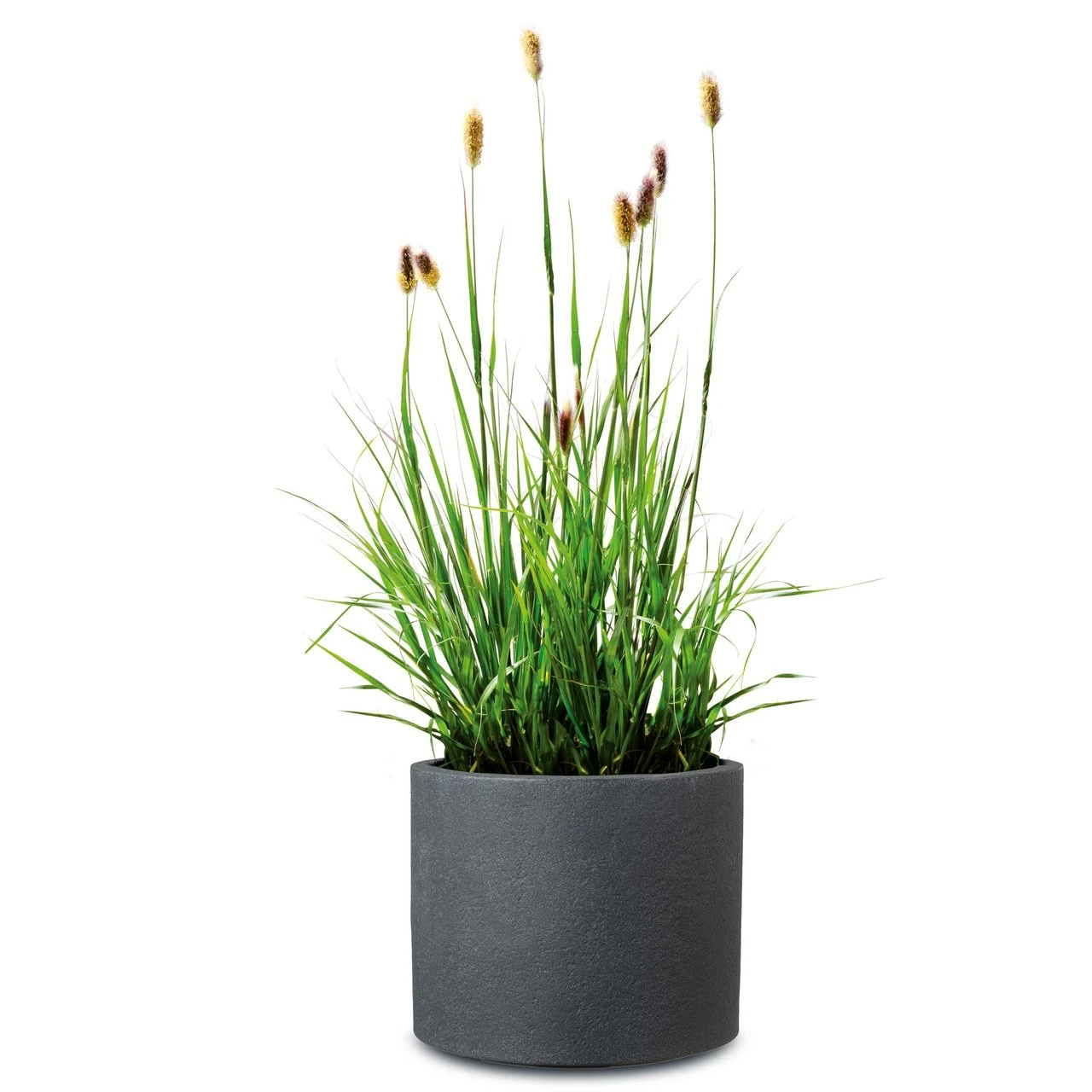 Pflanzgefäß 'Riva', Schwarz, Granit, Ø 29 X H 25 Cm 2 Pflanzgefäß 'Riva', Schwarz, Granit, Ø 29 X H 25 Cm – Bild 2