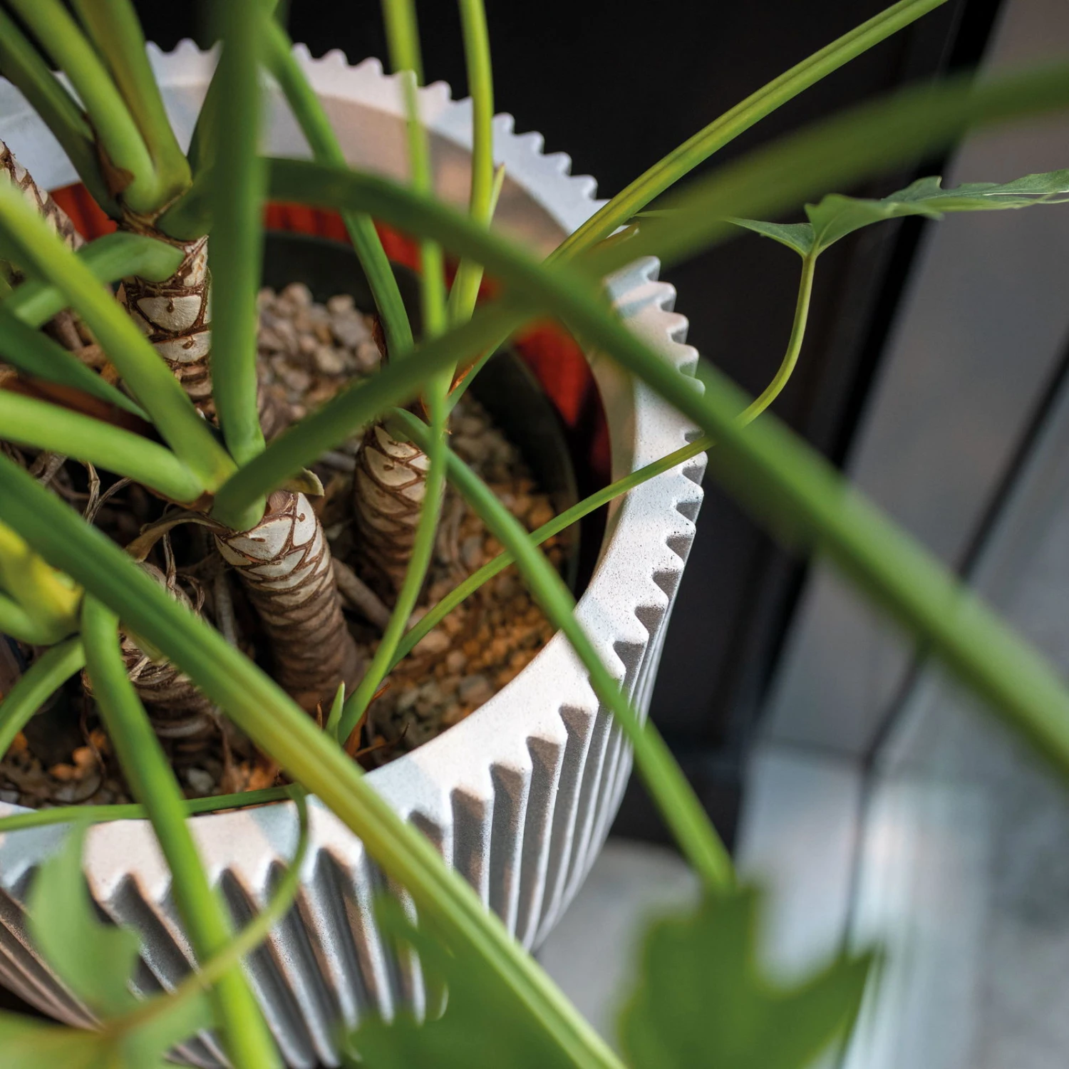 Pflanzgefäß 'Groove', Elfenbein, Ø 35 X H 34 Cm 3 Pflanzgefäß 'Groove', Elfenbein, Ø 35 X H 34 Cm – Bild 3