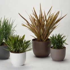 Pflanzkübel 'Rio', Weiß, Ø 39 X H 32,5 Cm 9 Pflanzkübel 'Rio', Weiß, Ø 39 X H 32,5 Cm -Günstiges Gartenambiente Geschäft 3210104130 3210104131 3210104132 3210104133 pflanzkuebel rio 122622 1