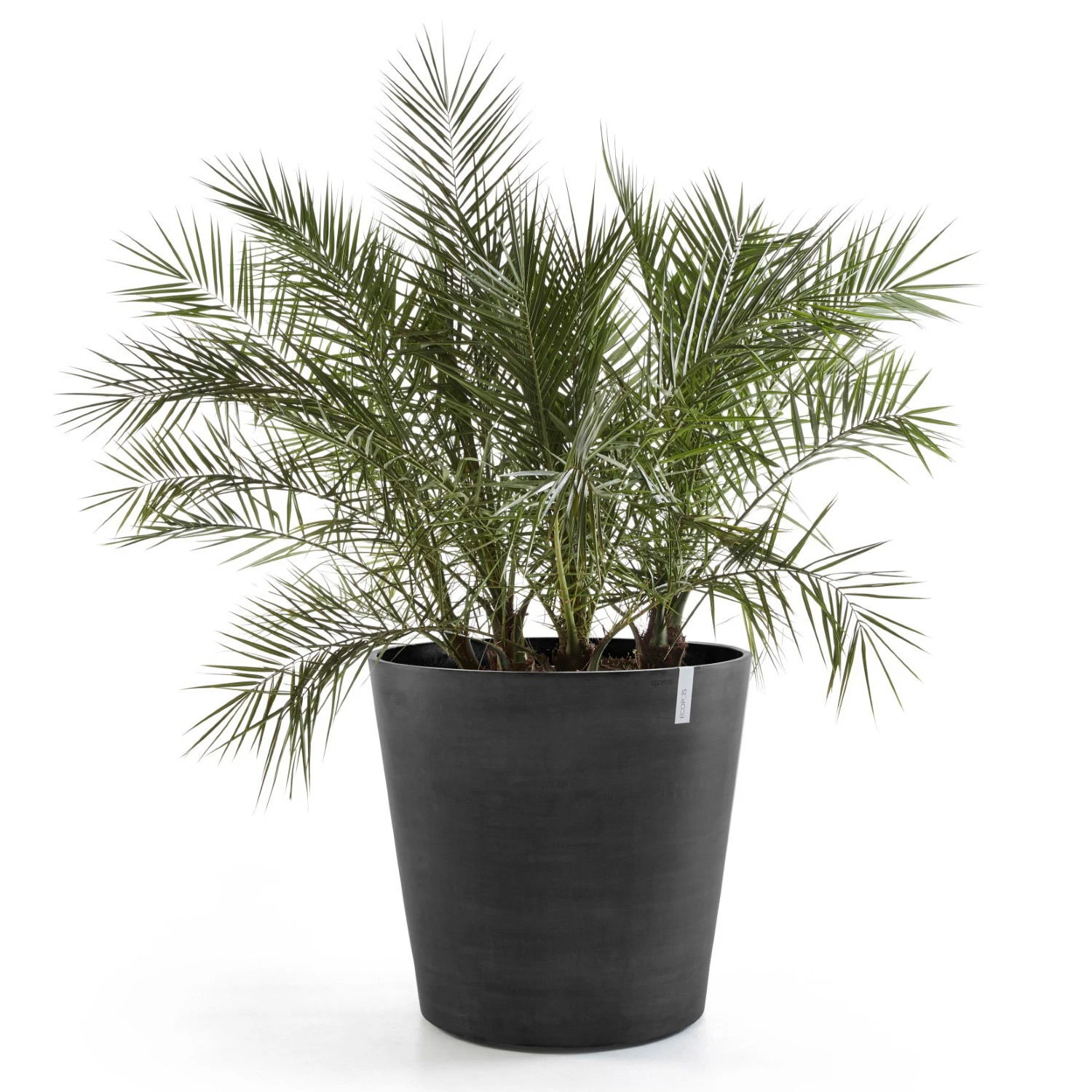 Pflanzgefäß 'Amsterdam', Dunkelgrau, Ø 60 X H 56 Cm 2 Pflanzgefäß 'Amsterdam', Dunkelgrau, Ø 60 X H 56 Cm – Bild 2