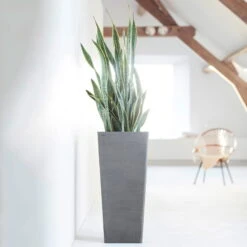 Pflanzgefäß 'Rotterdam MidHigh', Grau -Günstiges Gartenambiente Geschäft 3210104153 pflanzgefaess rotterdam high 1 117471