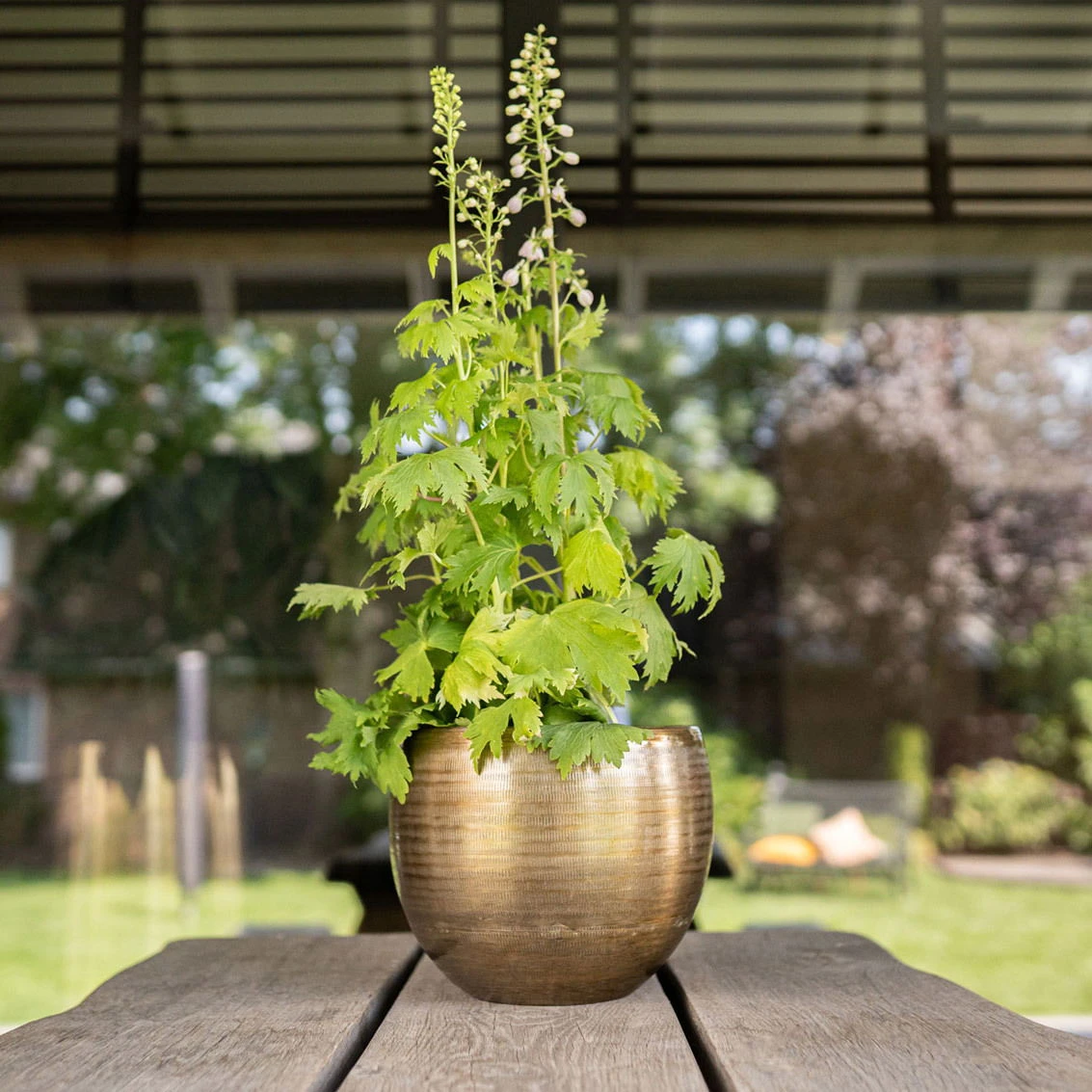 Pflanzgefäß 'Rowen', Gold, Ø 31 X H 28 Cm 1 Pflanzgefäß 'Rowen', Gold, Ø 31 X H 28 Cm