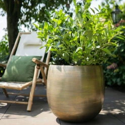 Pflanzgefäß 'Rowen', Gold, Ø 50 X H 47 Cm -Günstiges Gartenambiente Geschäft 3210801623 Pflanzgefaess Rowen gold D 50 x H 47 cm 4 114996