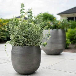 Pflanzgefäß 'Rowen', Silber, Ø 42 X H 41 Cm -Günstiges Gartenambiente Geschäft 3210801625 3210801626 3210801627 3210801628 Pflanzgefaess Rowen silber 2 114999
