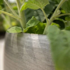 Pflanzgefäß 'Rowen', Silber, Ø 42 X H 41 Cm -Günstiges Gartenambiente Geschäft 3210801625 3210801626 3210801627 3210801628 Pflanzgefaess Rowen silber 9 115005