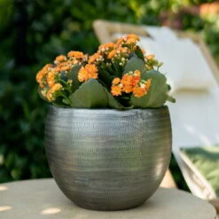 Pflanzgefäß 'Rowen', Silber, Ø 31 X H 28 Cm -Günstiges Gartenambiente Geschäft 3210801625 Pflanzgefaess Rowen silber D 31 x H 28 cm 1 115006
