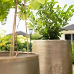 Pflanzgefäß 'Rowen', Gold, Ø 31 X H 55 Cm -Günstiges Gartenambiente Geschäft 3210801630 3210801631 3210801632 3210801633 Pflanzgefaess Rowen gold 2 115015