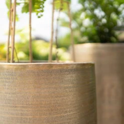 Pflanzgefäß 'Rowen', Gold, Ø 31 X H 55 Cm -Günstiges Gartenambiente Geschäft 3210801630 3210801631 3210801632 3210801633 Pflanzgefaess Rowen gold 3 115016