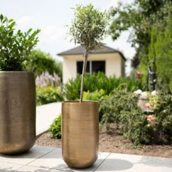 Pflanzgefäß 'Rowen', Gold, Ø 31 X H 55 Cm -Günstiges Gartenambiente Geschäft 3210801630 3210801631 3210801632 3210801633 Pflanzgefaess Rowen gold 4 115017