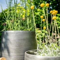 Pflanzgefäß 'Rowen', Silber, Ø 38 X H 62 Cm 15 Pflanzgefäß 'Rowen', Silber, Ø 38 X H 62 Cm -Günstiges Gartenambiente Geschäft 3210801635 3210801636 3210801637 3210801638 Pflanzgefaess Rowen silber 12 115029