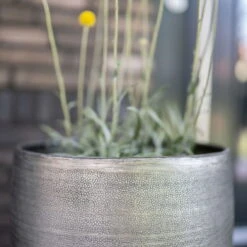 Pflanzgefäß 'Rowen', Silber, Ø 38 X H 62 Cm 17 Pflanzgefäß 'Rowen', Silber, Ø 38 X H 62 Cm -Günstiges Gartenambiente Geschäft 3210801635 3210801636 3210801637 3210801638 Pflanzgefaess Rowen silber 7 115026