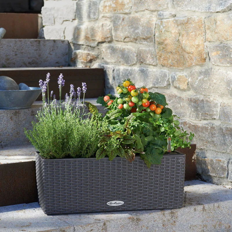 LECHUZA Balconera Cottage, Granit, 50 X 19 X 19 Cm