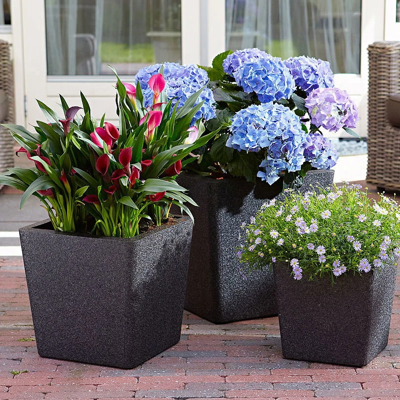 Pflanztrog IQ Dutch Aria, Schwarz, Frostfest Bis - 40 °C, Zu 100% Recycelbar 1 Pflanztrog IQ Dutch Aria, Schwarz, Frostfest Bis - 40 °C, Zu 100% Recycelbar