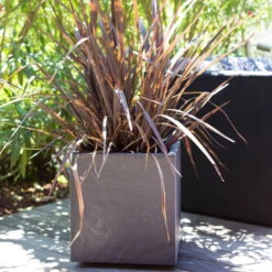 Pflanztrog 'Volcania Dado', Anthrazit, L 39,5 X B 39,5 X H 43,5 Cm -Günstiges Gartenambiente Geschäft 3230101084 Pflanztrog Volcania Dado anthrazit 39x39xH43cm 31Ltr6 75428