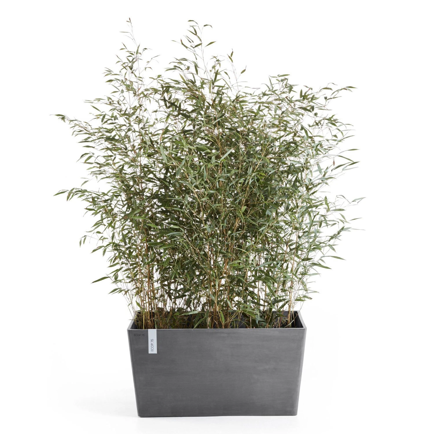 Pflanzkasten 'Paris', Grau, L 60 X B 26 X H 40 Cm 2 Pflanzkasten 'Paris', Grau, L 60 X B 26 X H 40 Cm – Bild 2