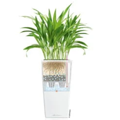 LECHUZA Cubico Premium 40, Weiß Hochglanz, All-in-One-Set, 40 X 40, H:75 Cm 6 LECHUZA Cubico Premium 40, Weiß Hochglanz, All-in-One-Set, 40 X 40, H:75 Cm -Günstiges Gartenambiente Geschäft 3325100114 CubicoPremium22 weiss All in One Set 22x22x41cm RGB 7573 2