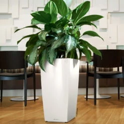 LECHUZA Cubico Premium 30, Weiß Hochglanz, All-in-One-Set , 30x30, H:56 Cm