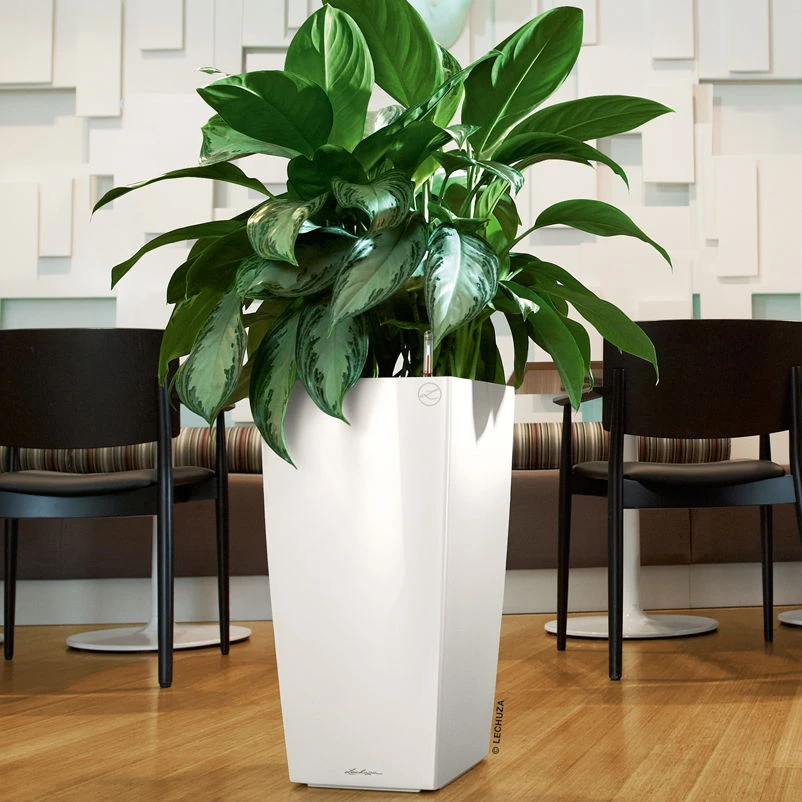 LECHUZA Cubico Premium, All-in-One-Set, Weiß Hochglanz, 22x22, H:41 Cm 1 LECHUZA Cubico Premium, All-in-One-Set, Weiß Hochglanz, 22x22, H:41 Cm