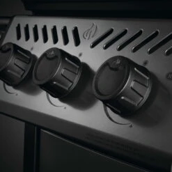 Napoleon Gasgrill 'Freestyle 365', Grau, Edelstahl, Ca. 116 X 64 X 124 Cm -Günstiges Gartenambiente Geschäft 3920200313 Gasgrill Freestyle 365 Graphit mit 3 Hauptbrenner 4 123135