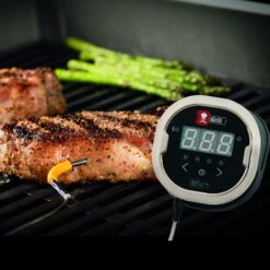 Weber® IGrill® 2 Mit Zwei Messfühlern -Günstiges Gartenambiente Geschäft 3920501590 iGrill2 mit zwei Messfuehlern 02 41395