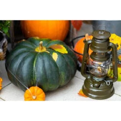 Feuerhand Sturmlaterne 'Baby Special 267', Olive, 26,5 X 13,5 X 15 Cm -Günstiges Gartenambiente Geschäft 3990100192 feuerhand sturmlaterne 3 121597