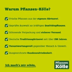 Werkzeugset Für Die Bonsaipflege, 5-teilig, Mit Aufbewahrungstasche 11 Werkzeugset Für Die Bonsaipflege, 5-teilig, Mit Aufbewahrungstasche -Günstiges Gartenambiente Geschäft usps pflanzen koelle 211119 70877 2