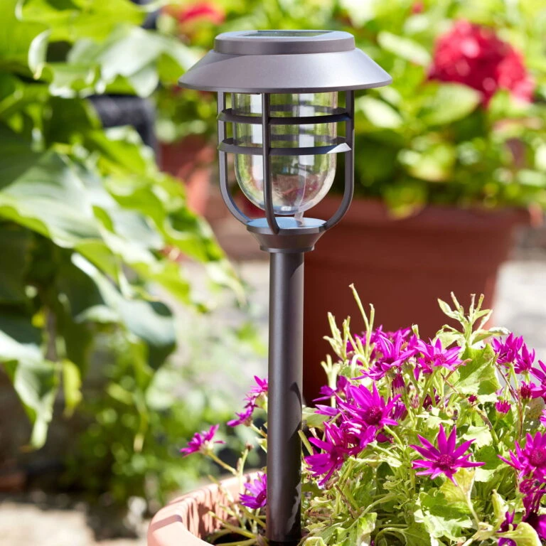 Günstiges Gartenambiente Geschäft -Günstiges Gartenambiente Geschäft 2950100645 Avant 5er Pack 2 105524 768x768 1